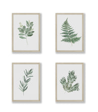 Load image into Gallery viewer, Original Watercolor Botanical Art Prints (Set of 4)
