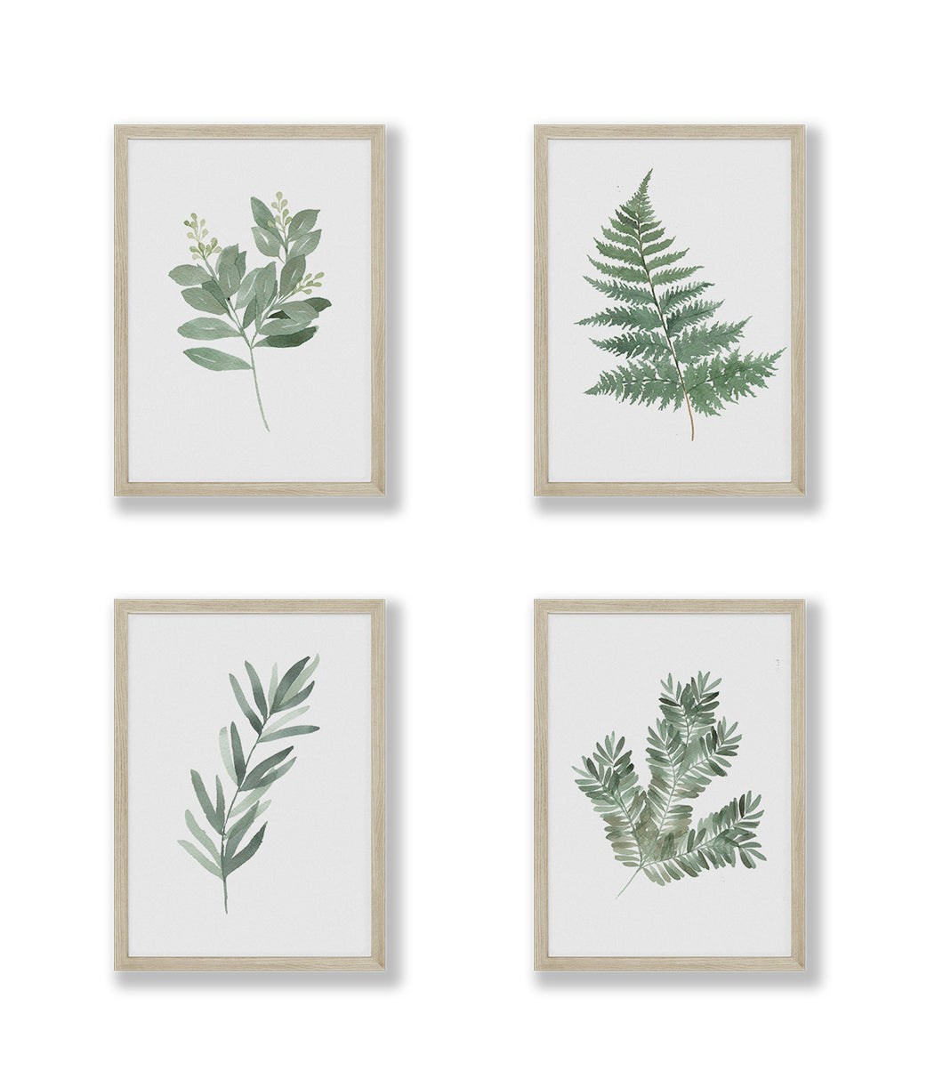 Original Watercolor Botanical Art Prints (Set of 4)